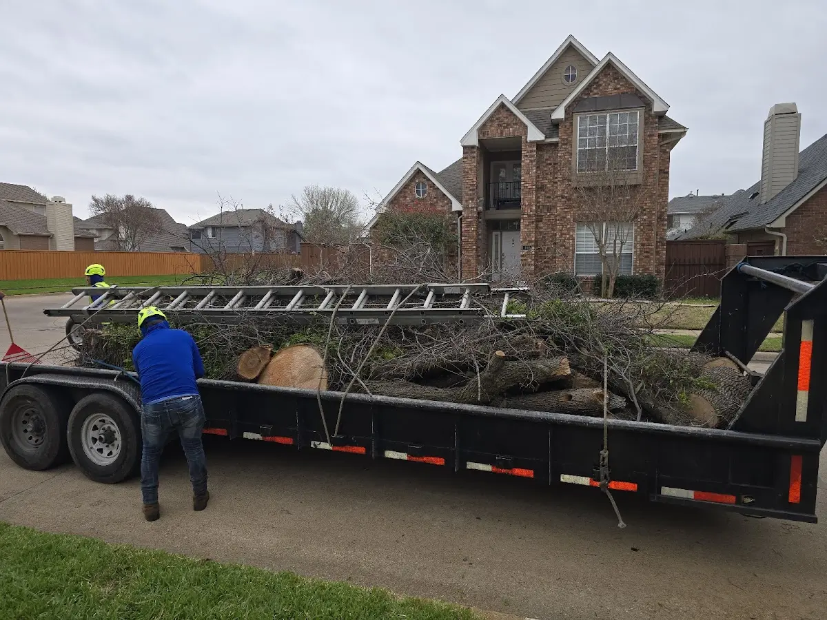 Expert Tree Fertilization with proper safety equipment in Woodland